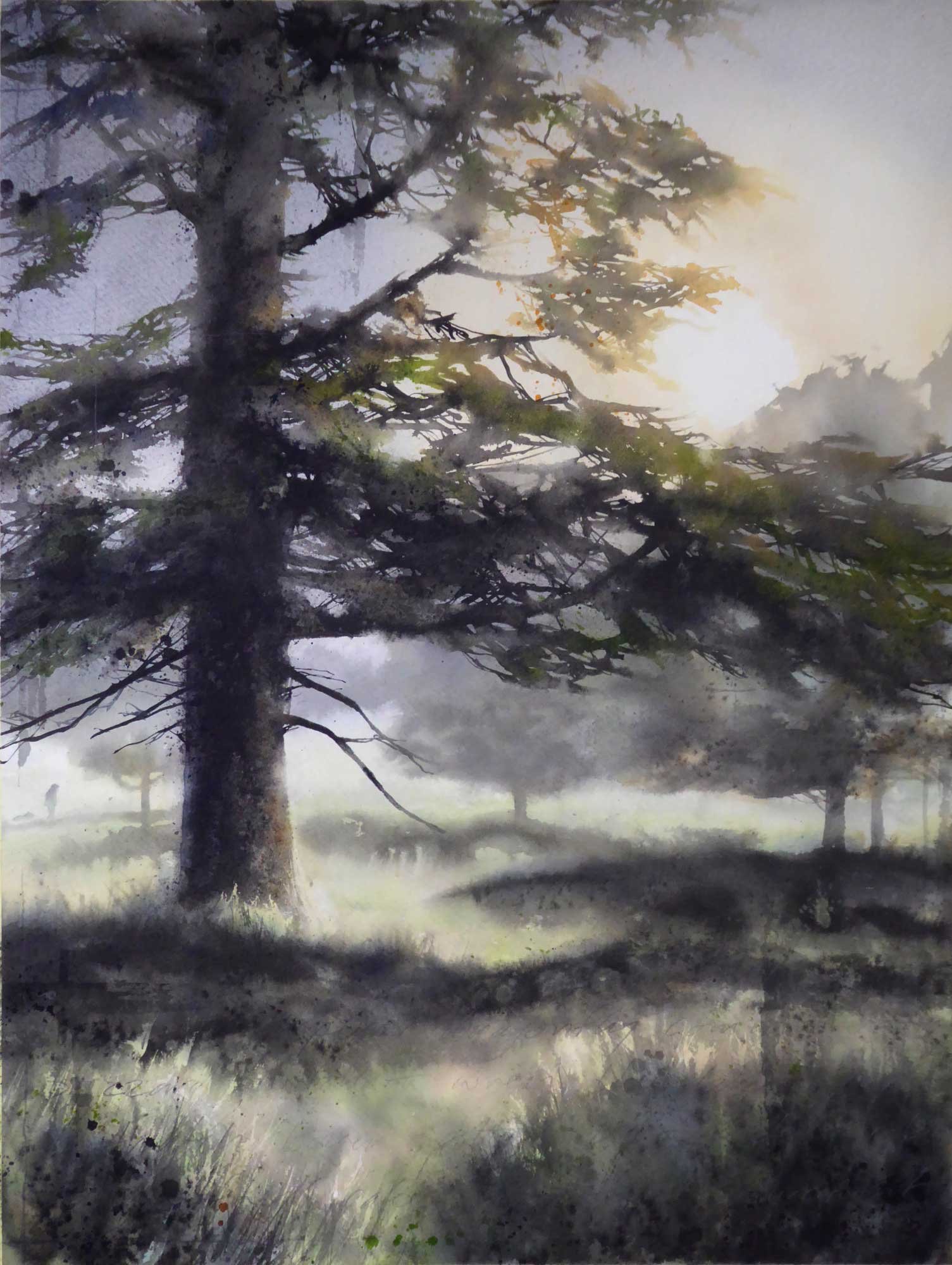 Gary_Cook_Summer_cedar-copy.jpg