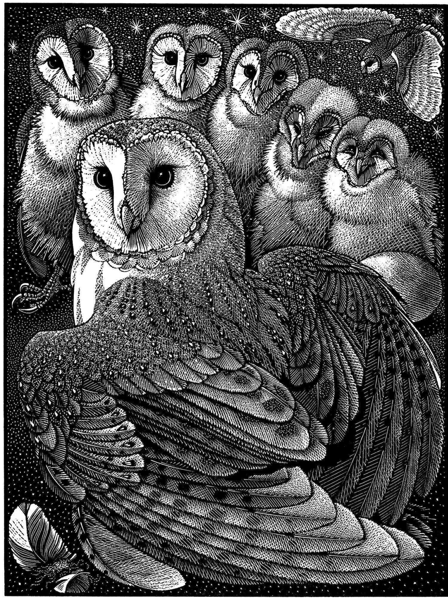 ColinSeePayntonPARLIAMENT-OF-OWLS-jpg-med.Kevis-copy.jpg