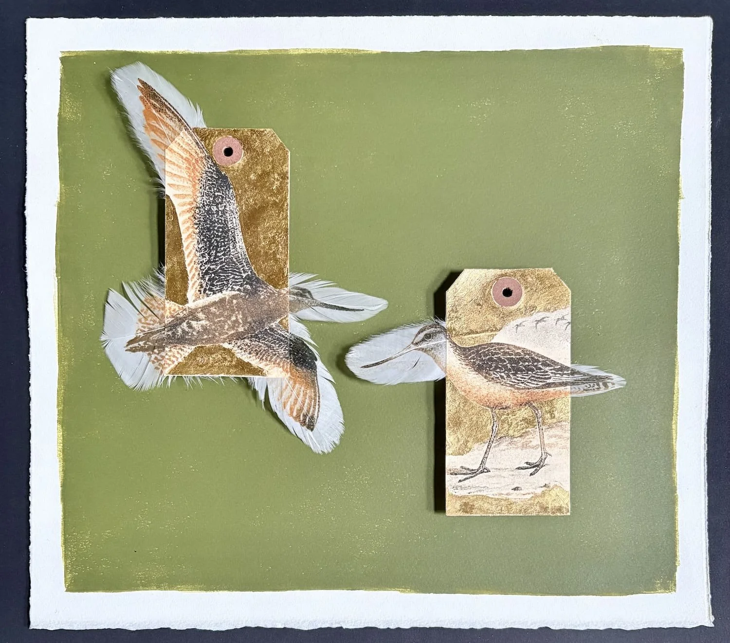 Jewell.Bar-Tailed Godwit UNFRAMED.Kevis.jpeg
