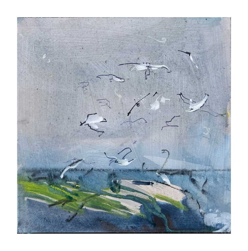 Hatch.Gulls-Play-The-Air.--copy.jpg