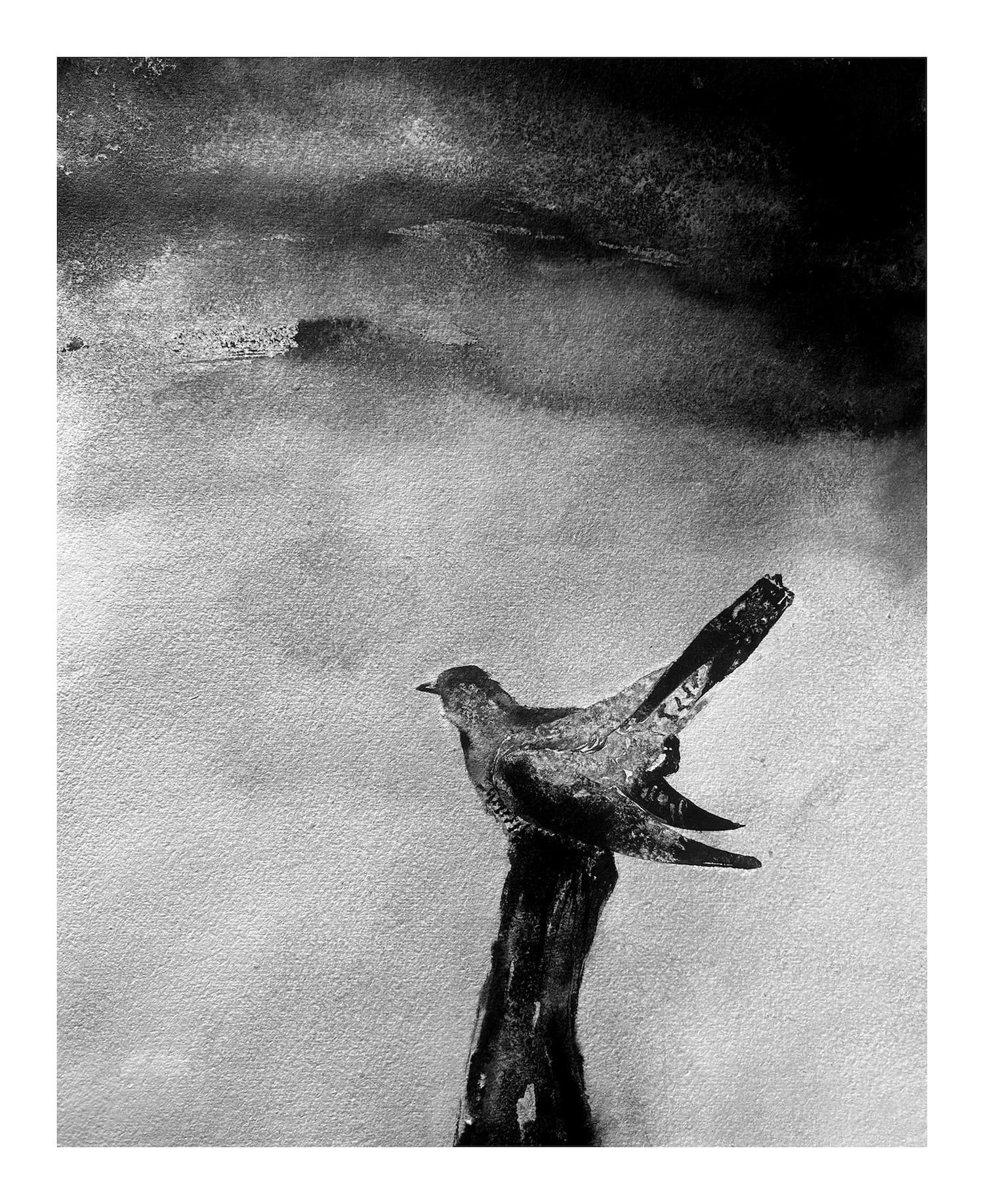 James Roberts - Return of the Cuckoo