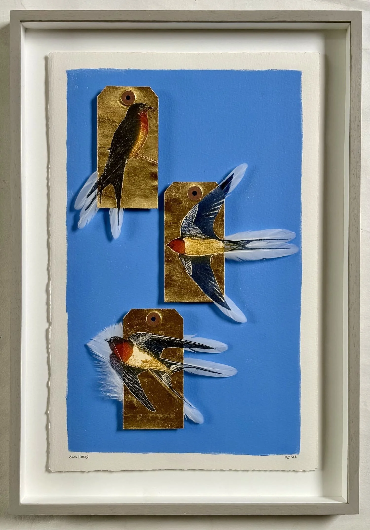 Jewell.Swallows FRAMED.Kevis.jpeg