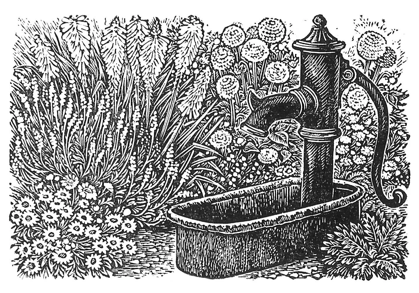 Sue Scullard - The Water Pump