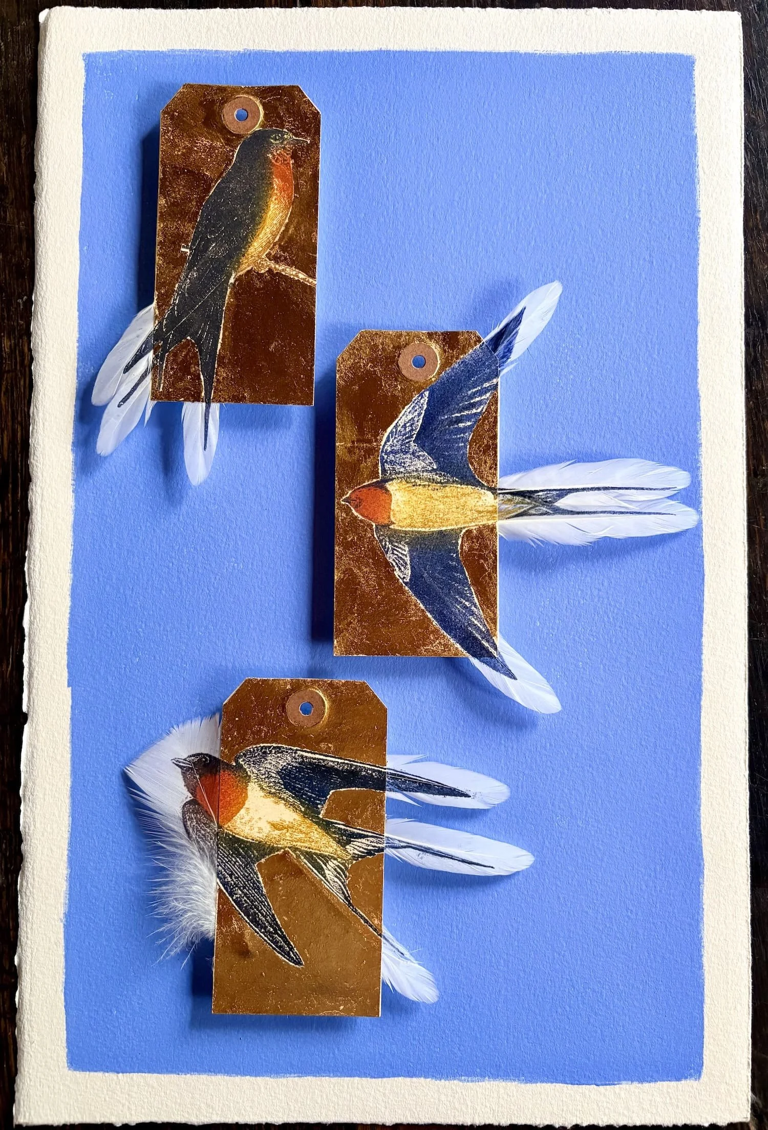 Jewell.Swallows UNFRAMED.Kevis.jpeg