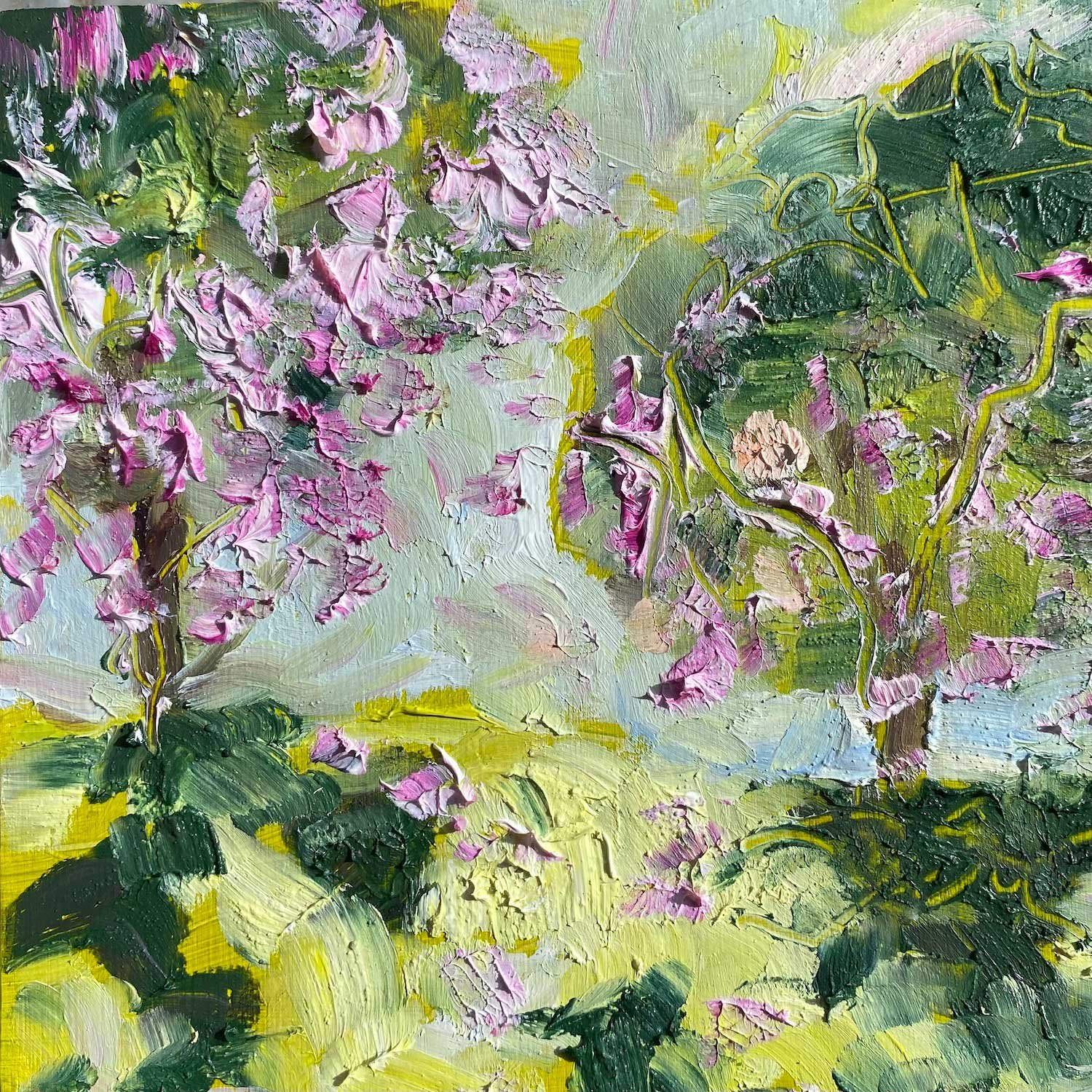 Polly Dutton - Apple Blossom Time