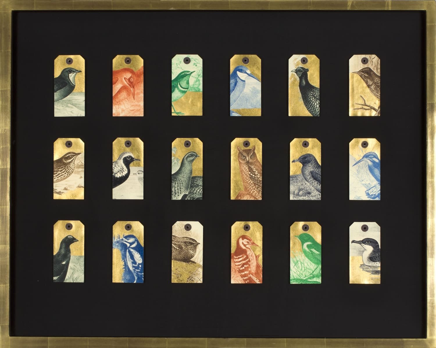 Jewell.British Birds, Afer Frohawk FRAMED.Kevis.jpg