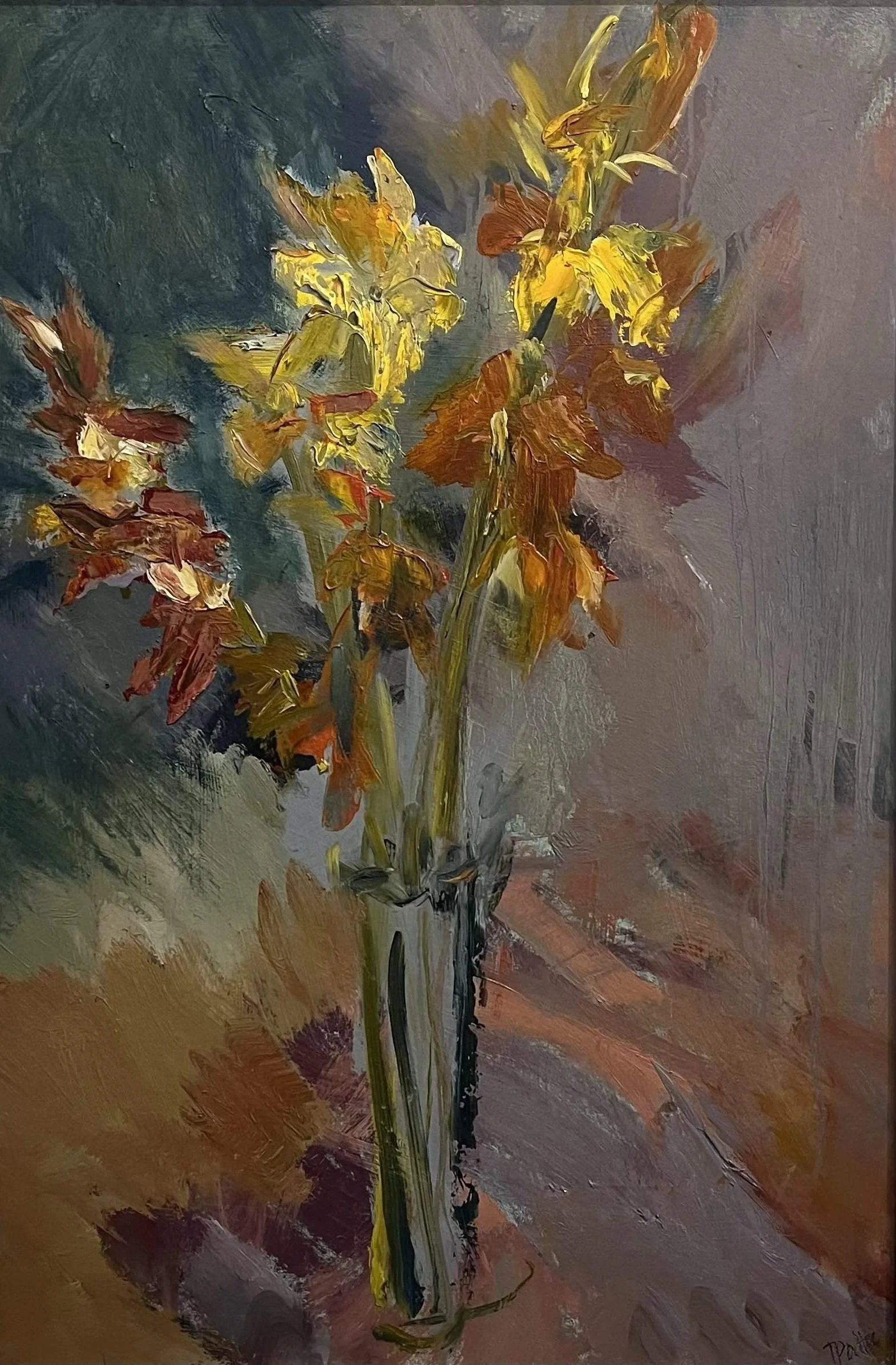 Tuema Pattie - Flag Iris