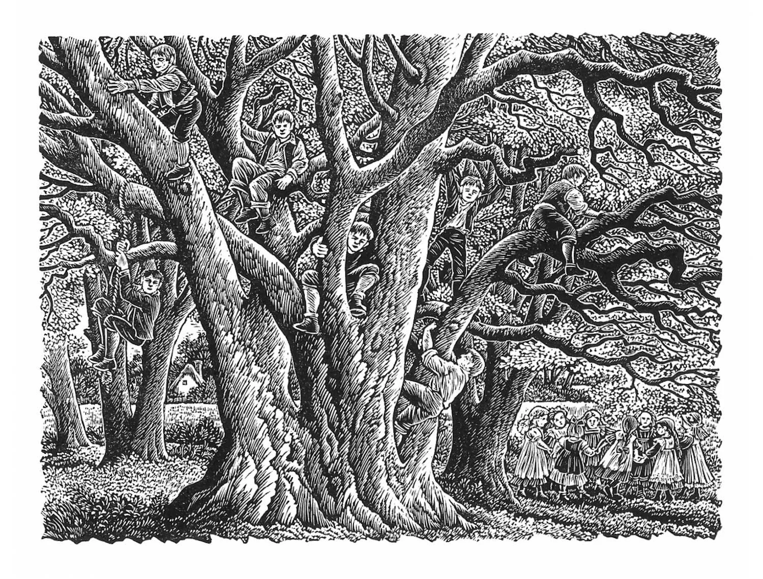 Sue Scullard - Country Playtime