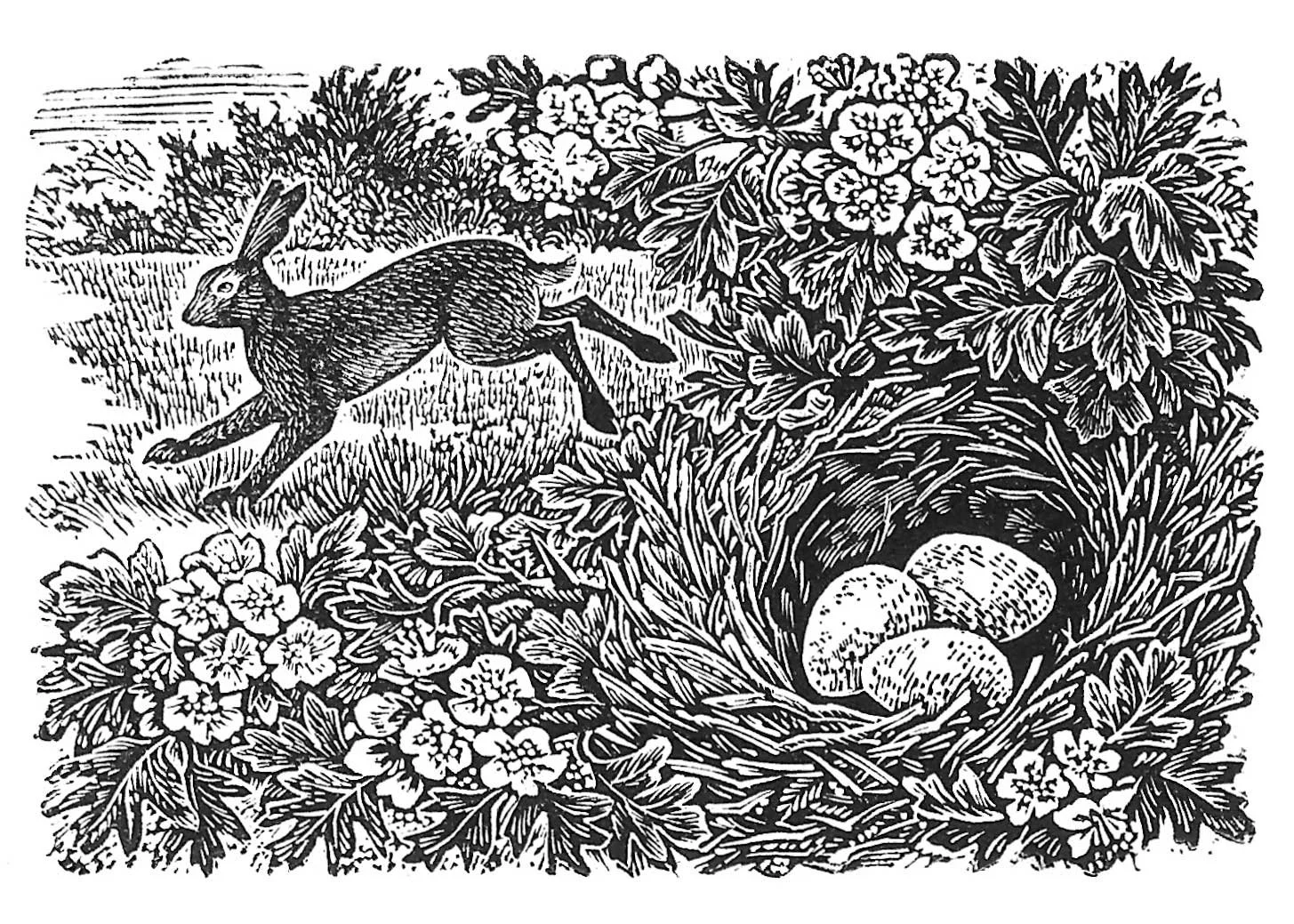 Sue Scullard - Springtime