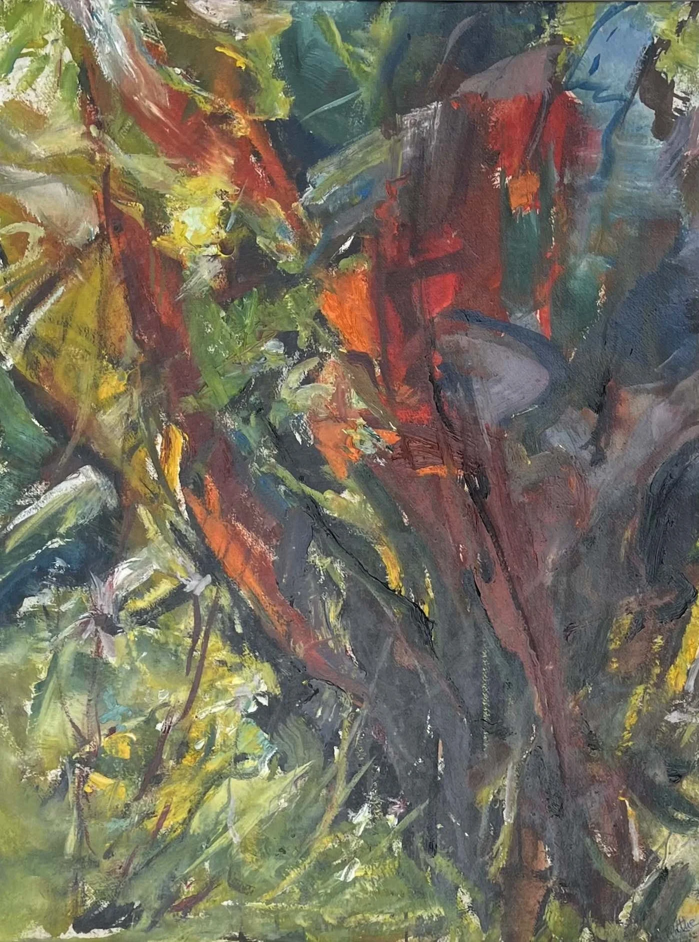 Tuema Pattie - Canna Lilies