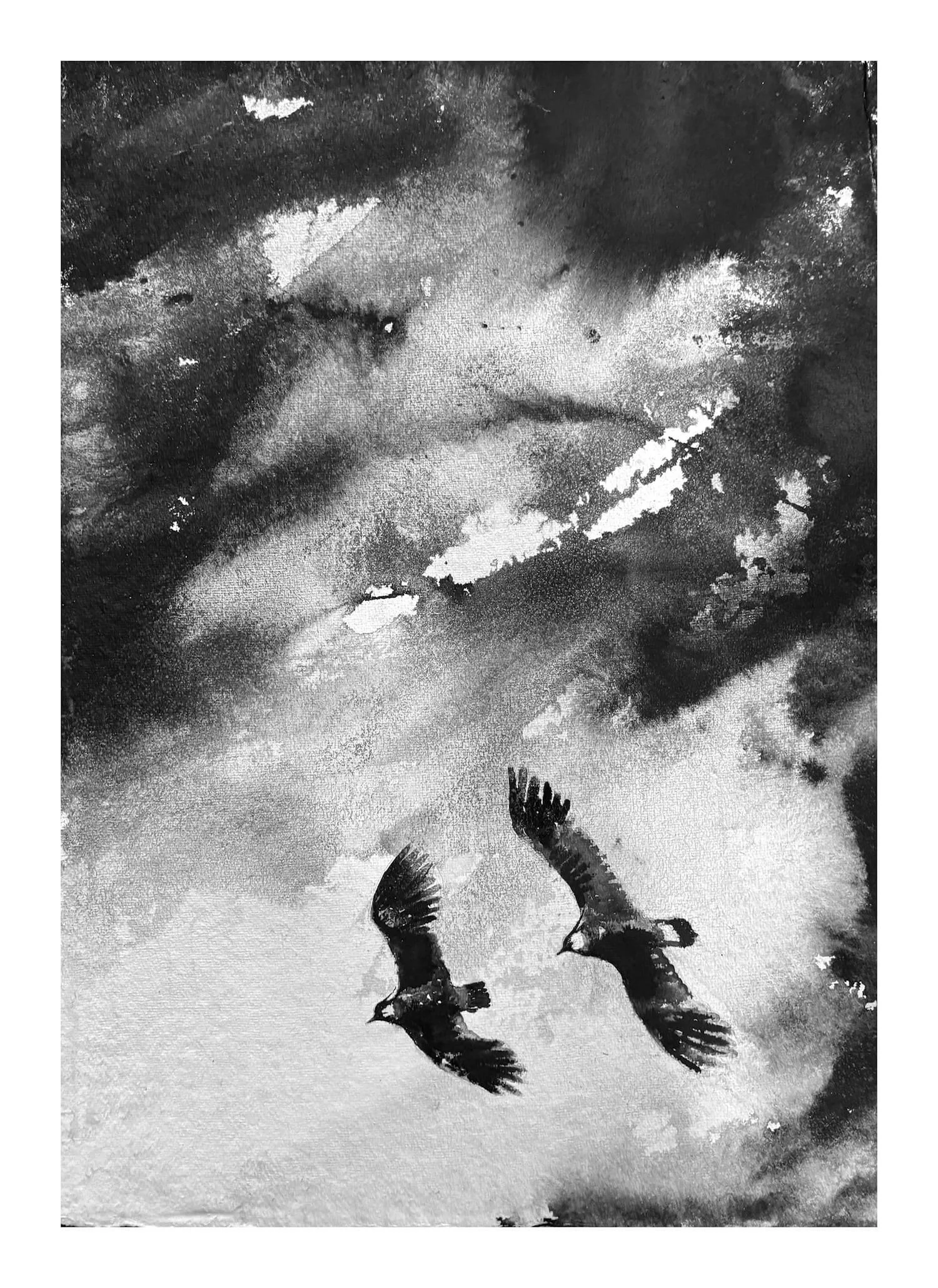 James Roberts - Lapwings