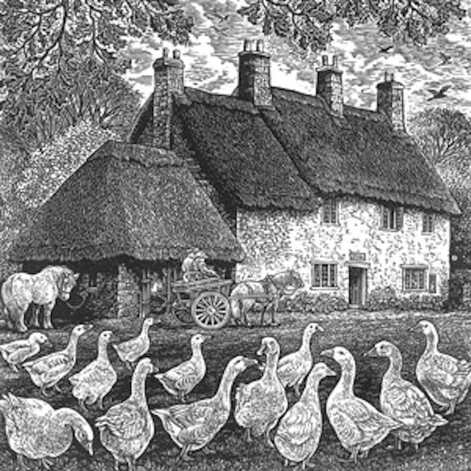 Sue Scullard - Candleford Green