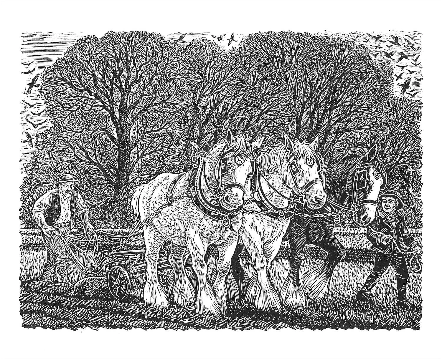 Sue Scullard - Ploughing at Lark Rise