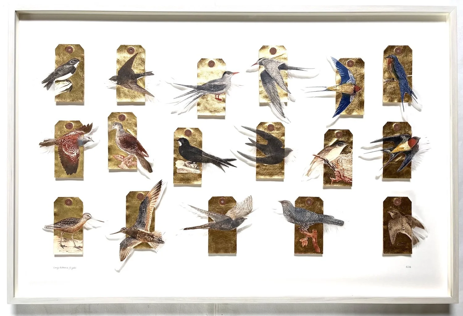 Jewell.Long-Distance Flights FRAMED.Kevis.jpeg