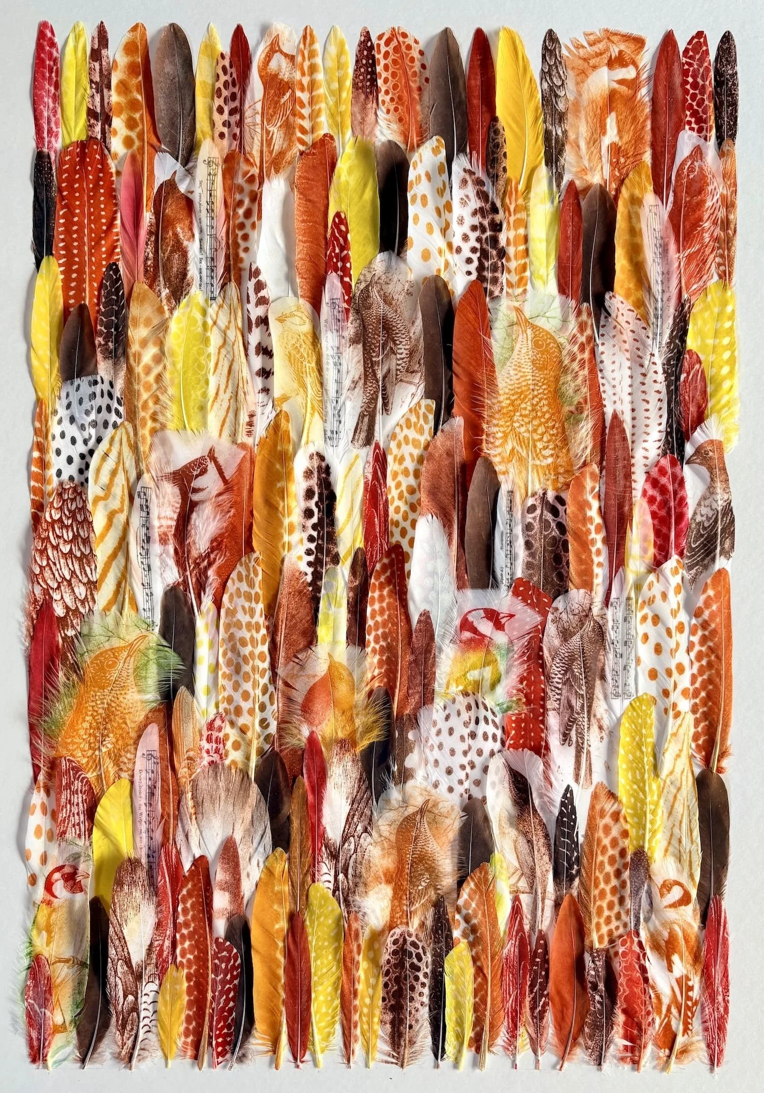 Jewell.Songbirds UNFRAMED.Kevis.jpeg