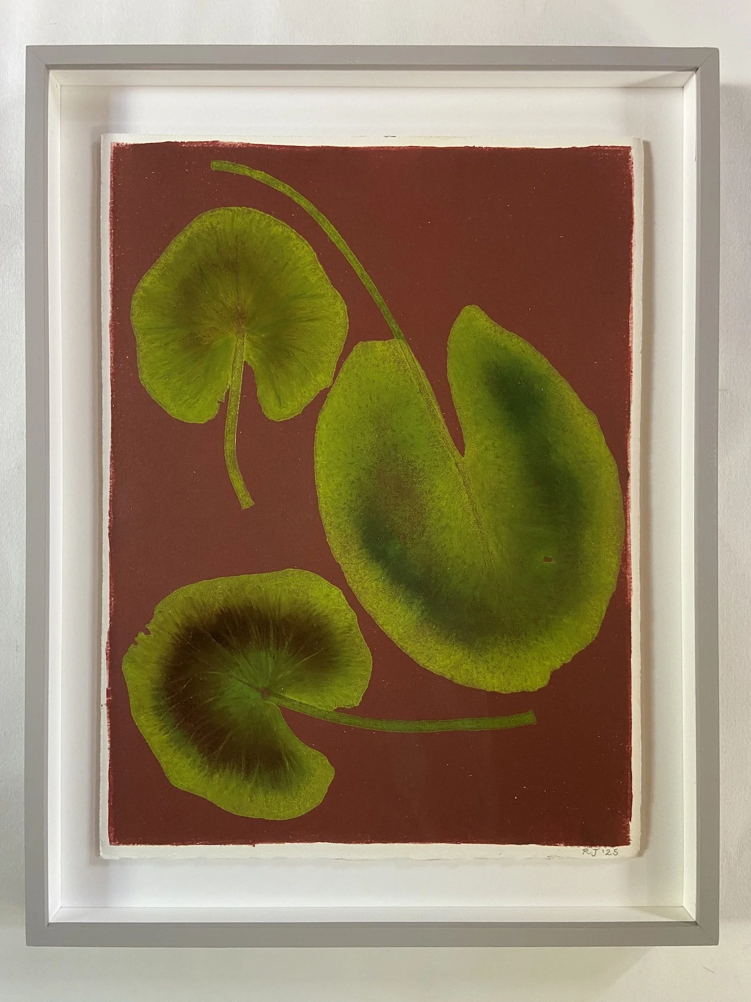 Jewell.LilyPad2Framed copy.Kevis.jpg