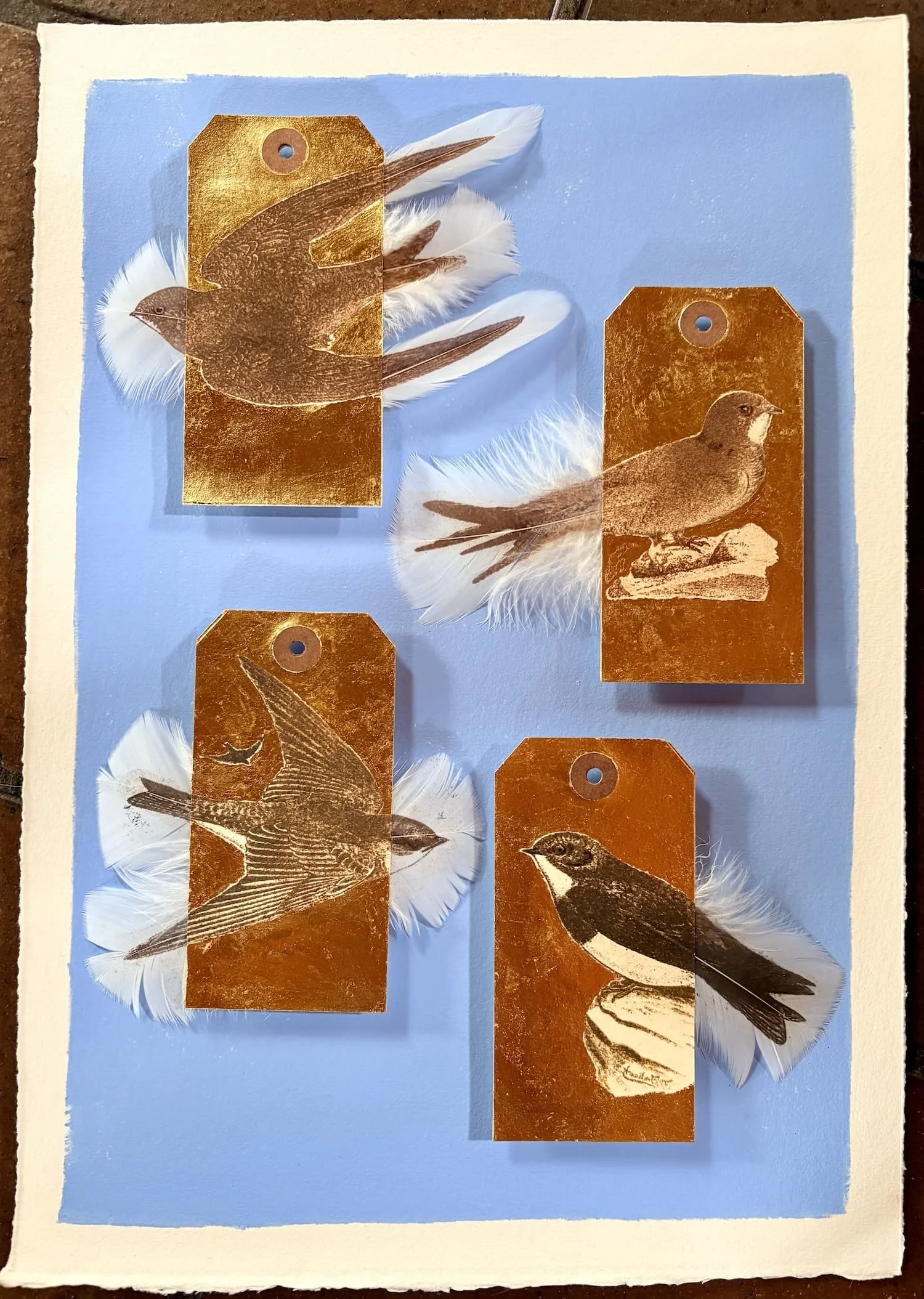 Jewell.Swifts and Sand Martins UNFRAMED.Kevis.jpeg