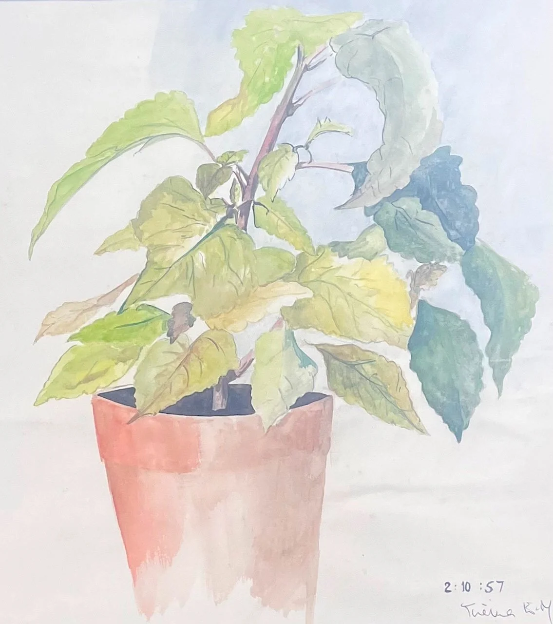 Pattie.PlantLifeI UF.Kevis.jpeg