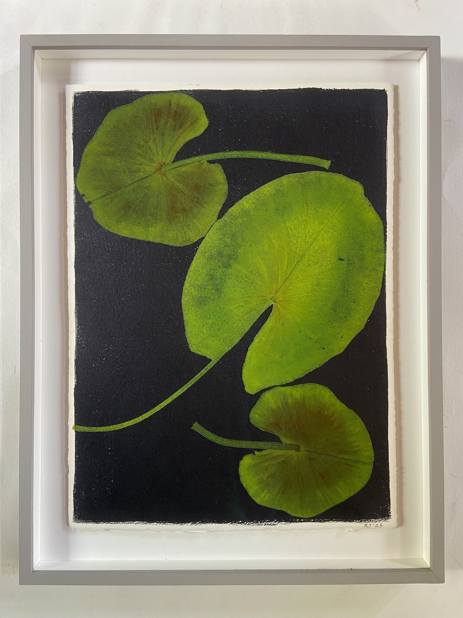 Jewell.LilyPad1Framed copy.Kevis.jpg