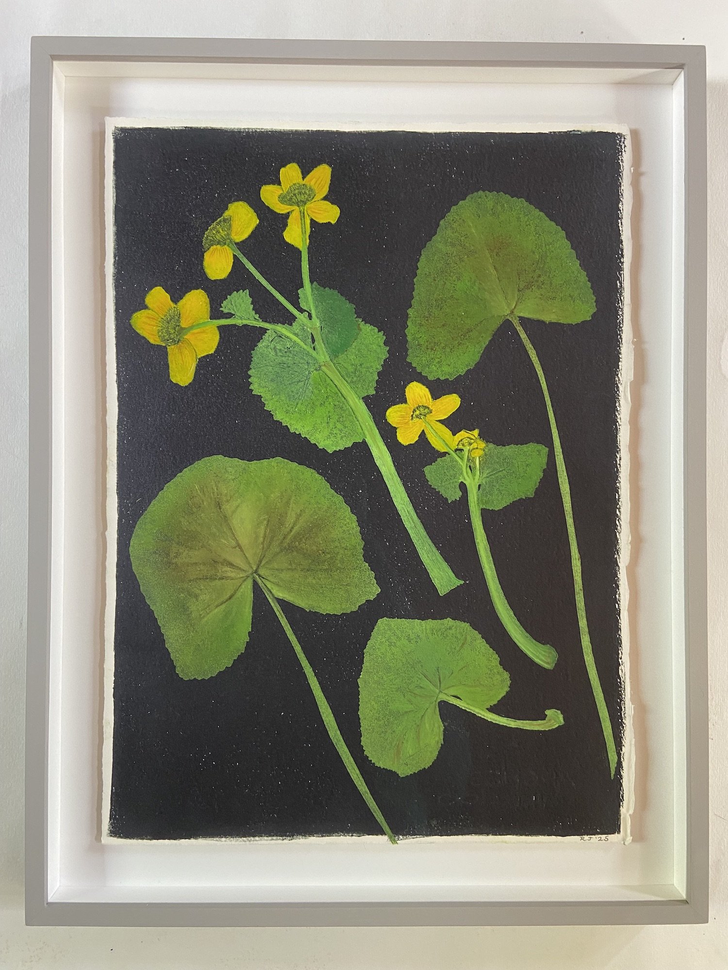 Jewell.MarigoldFramed copy.Kevis.jpg