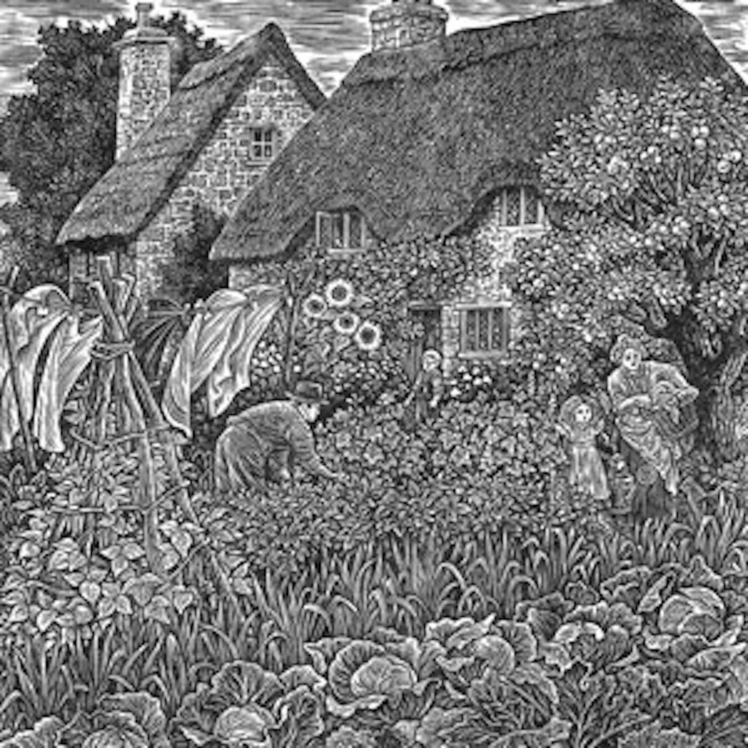 Sue Scullard - Vegetable Garden at Lark Rise