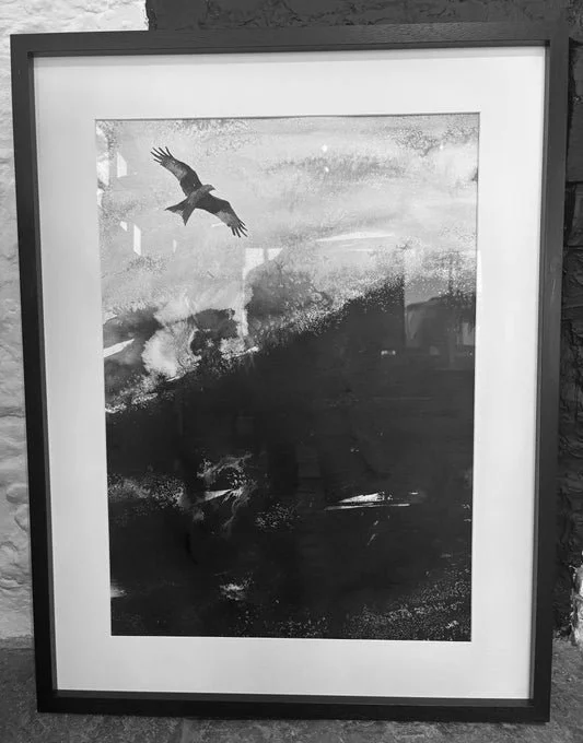 Soaring_Kite_Framed.jpg