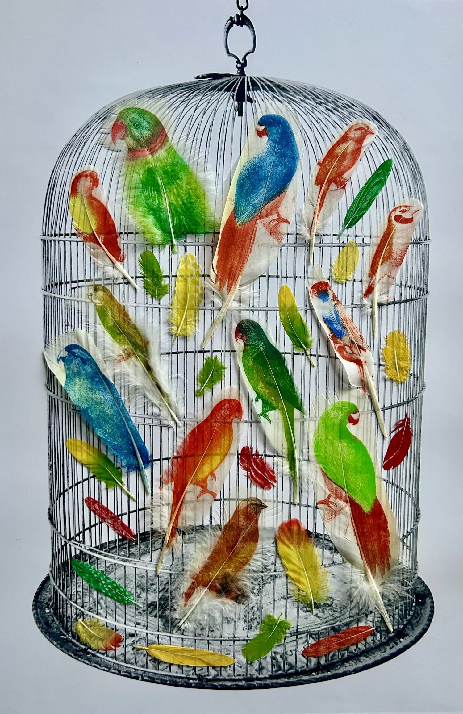 Jewell.The Aviary UNFRAMED.Kevis copy.jpg