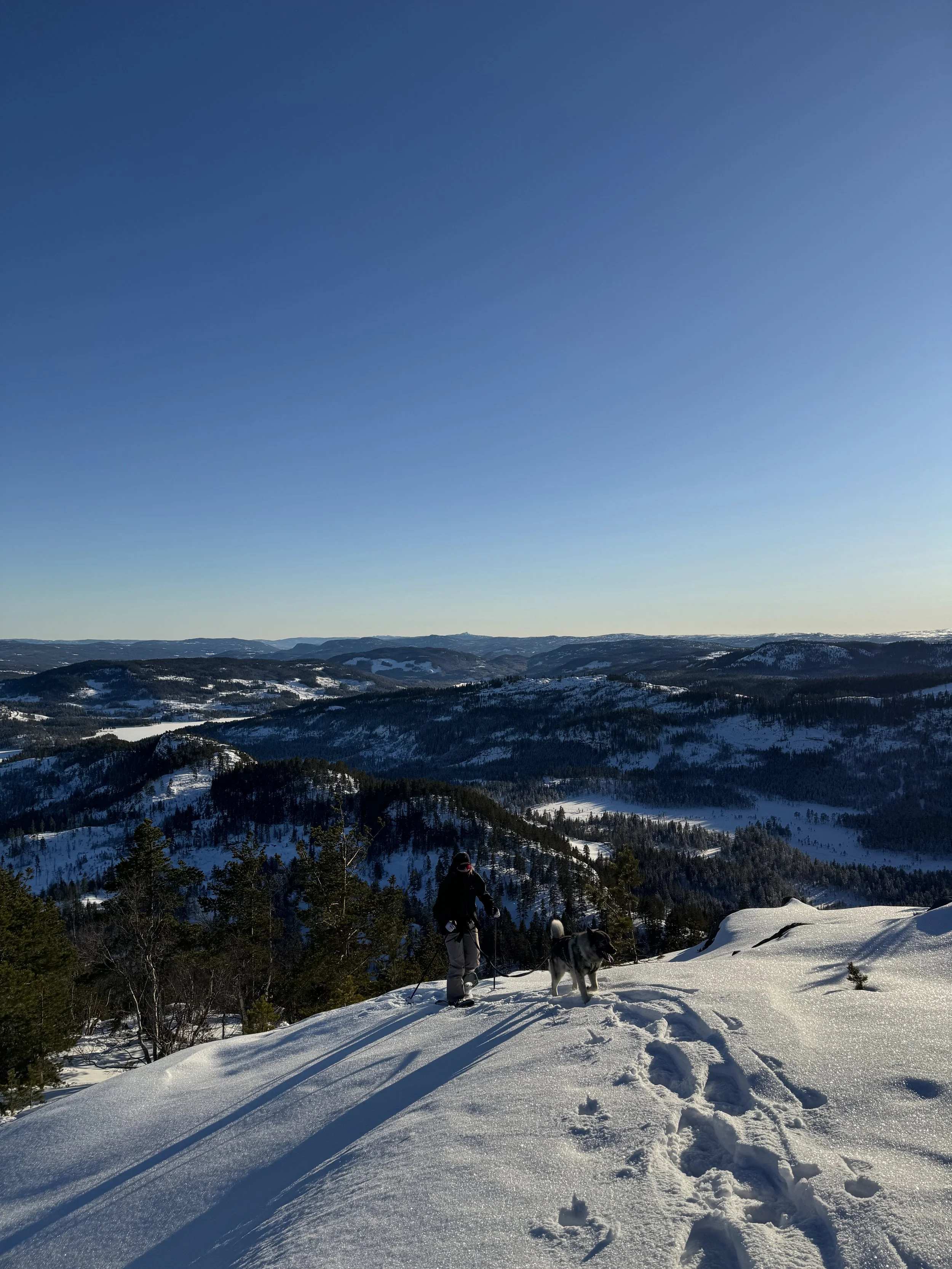 Tekslehogget truger vinter flesberg1_2323.jpeg