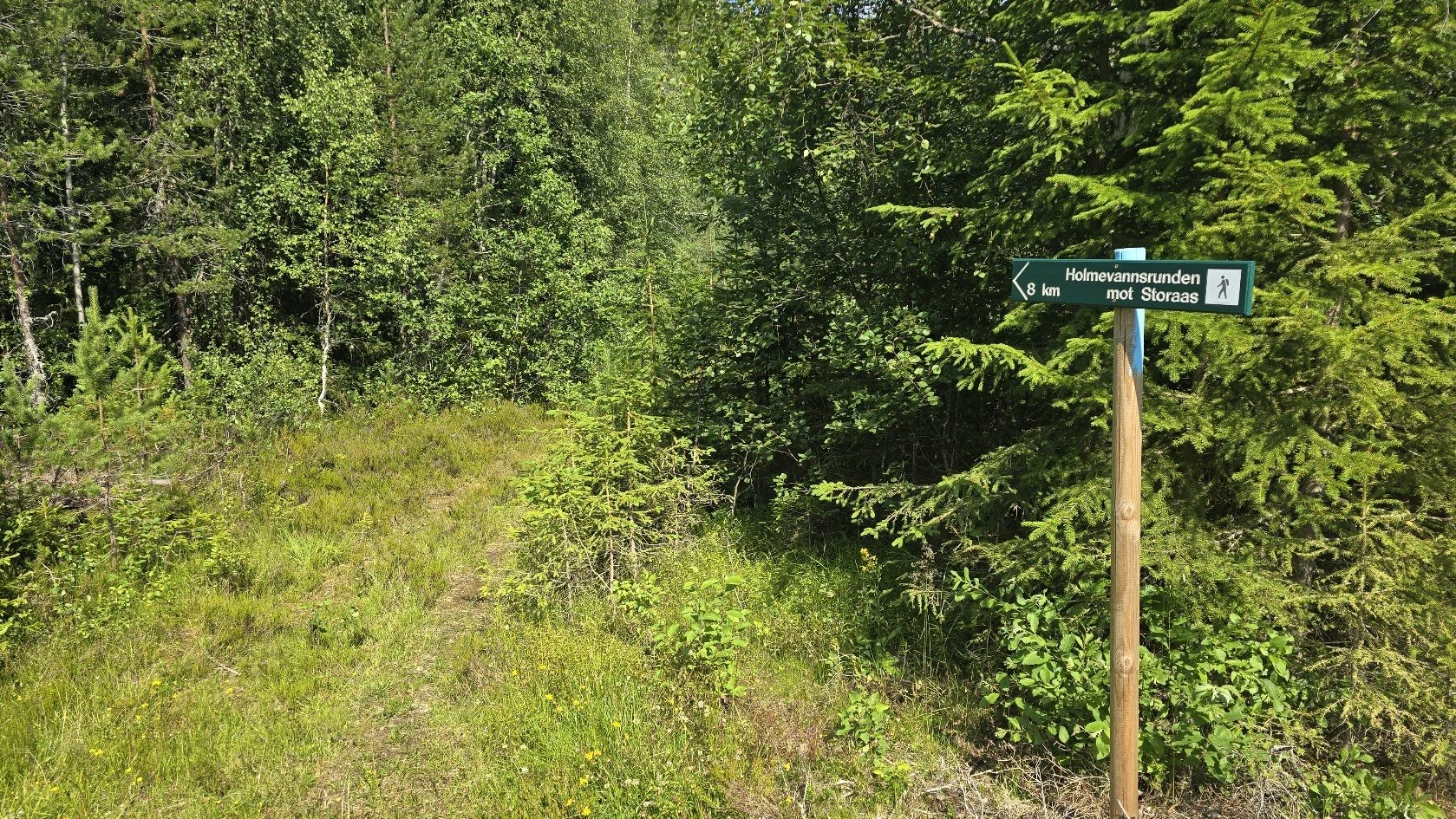 Holmevannsrunden_storaas.jpg