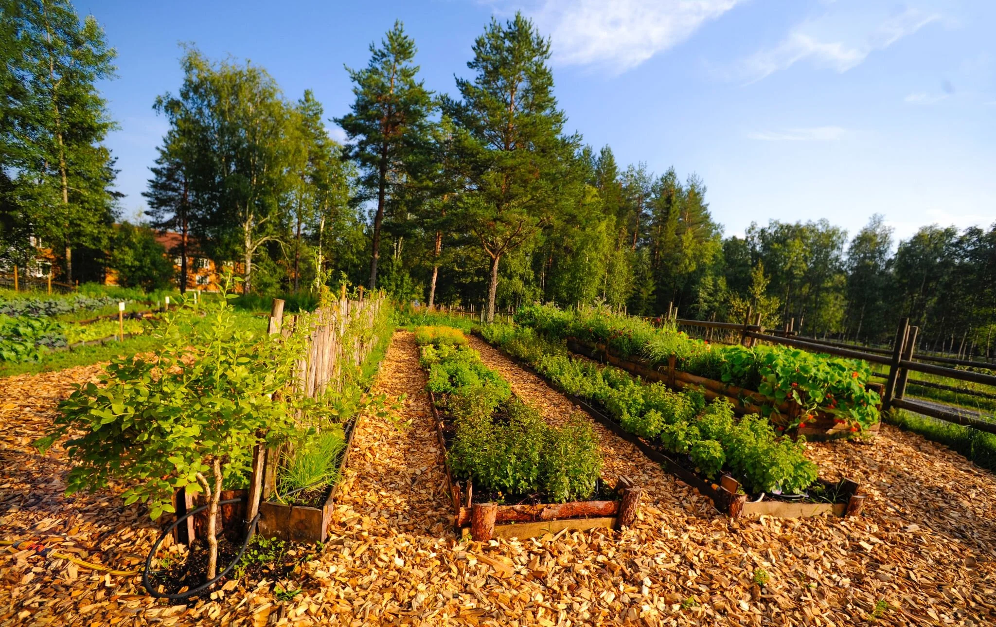 Søstrene Storaas urtehagen oversikt.jpeg