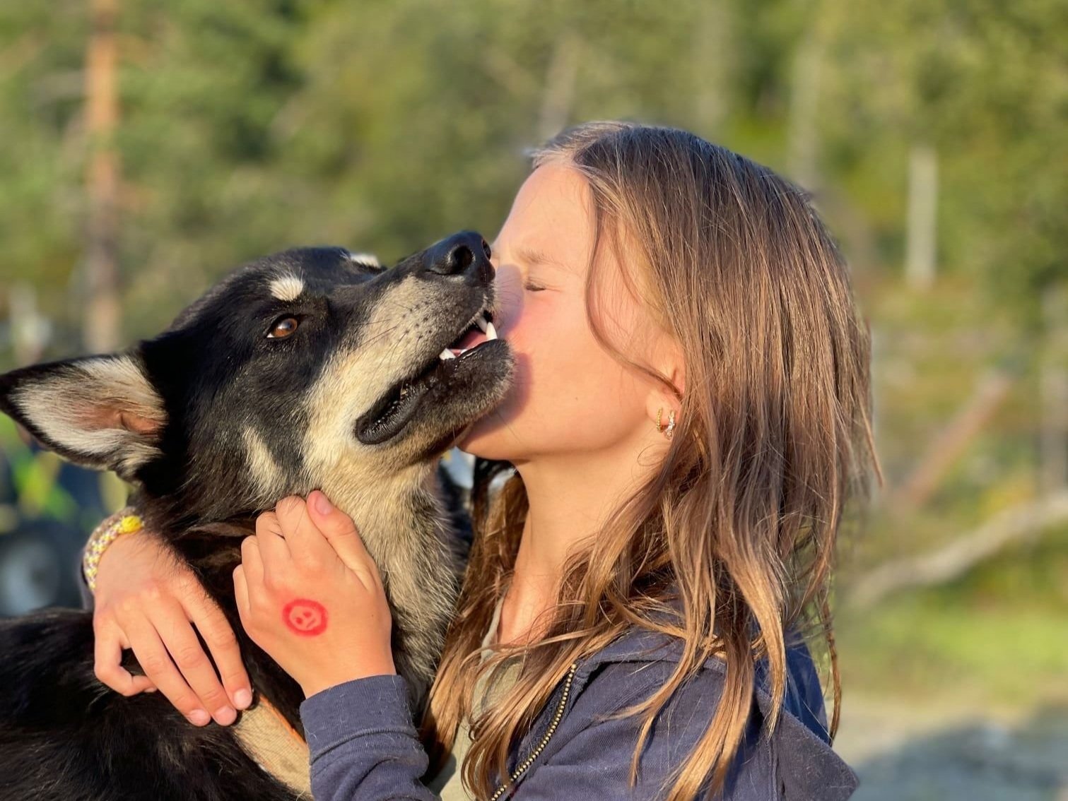 Sommerleir med hundekjøring for barn 10-14 år