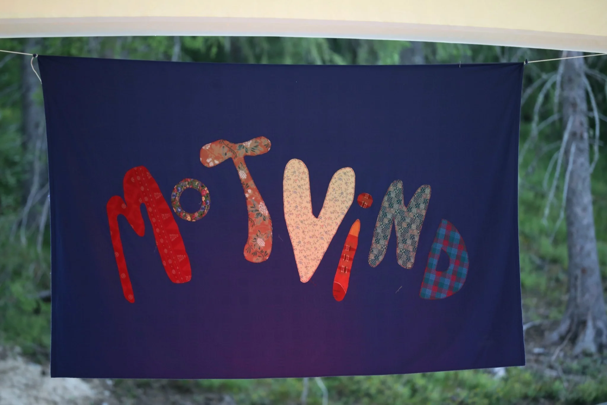 Motvind festival i Rollag