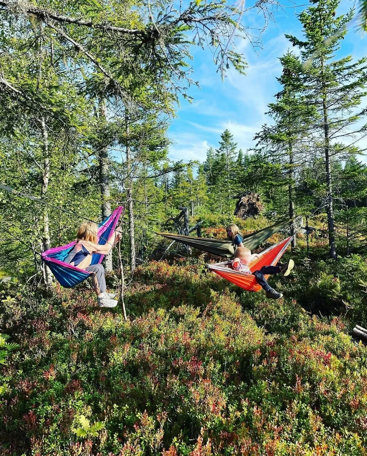 Fiske, plukke b&aelig;r, brenne b&aring;l, sove i hengek&oslash;ye - mye fint &aring; gj&oslash;re i naturen n&aring;🤗#friluftsliv #friluftsbua #h&oslash;stferie #blefjell #vegglifjell #uvdal #svingom #numedal #austbygde #sigdal