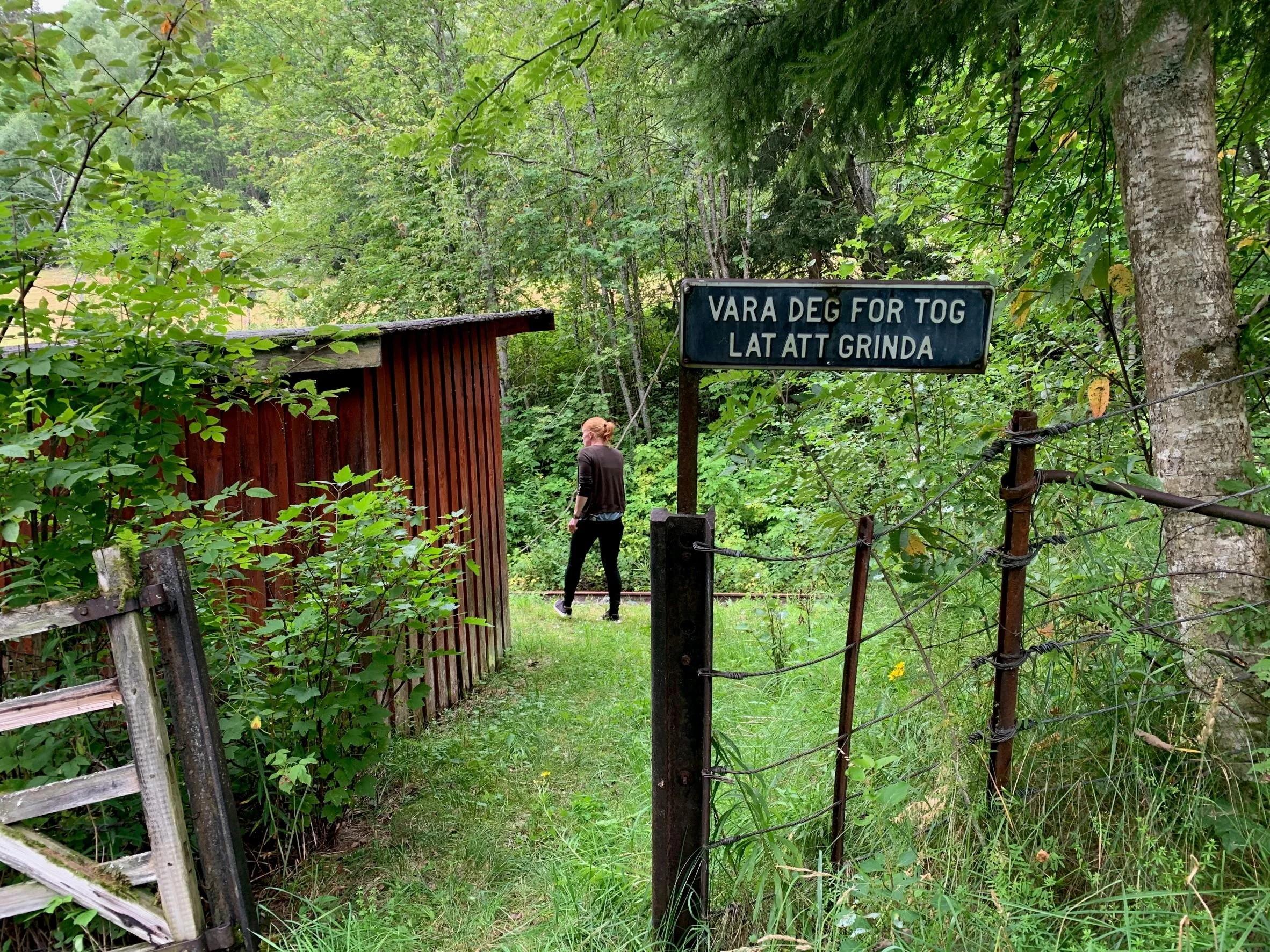 Vara deg for tog med Birgit.jpeg