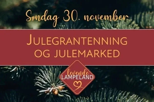Julemarked og julegrantenning på Lampeland