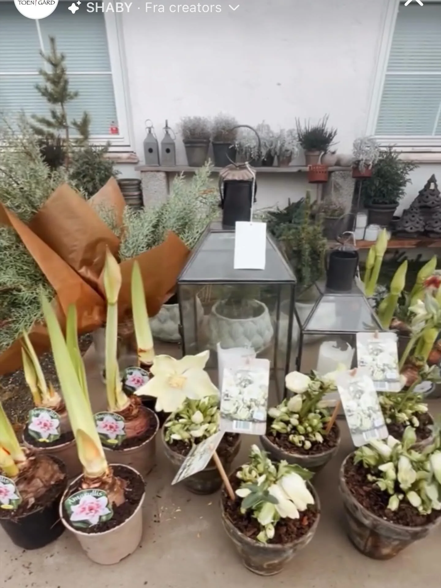 Sving innom julebutikken p&aring; #toeng&aring;rd i helgen 🎄