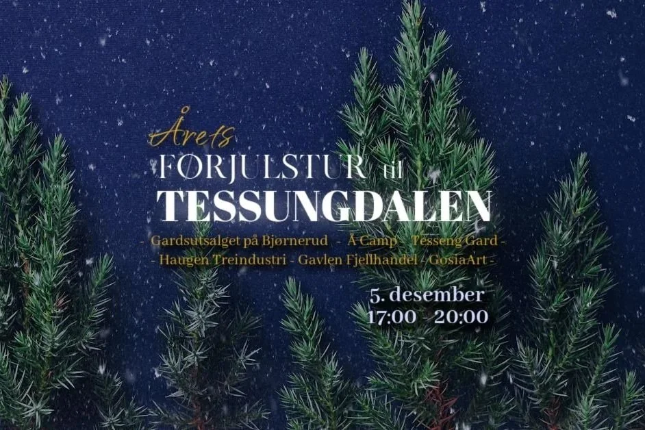 Førjulstur i Tessungdalen