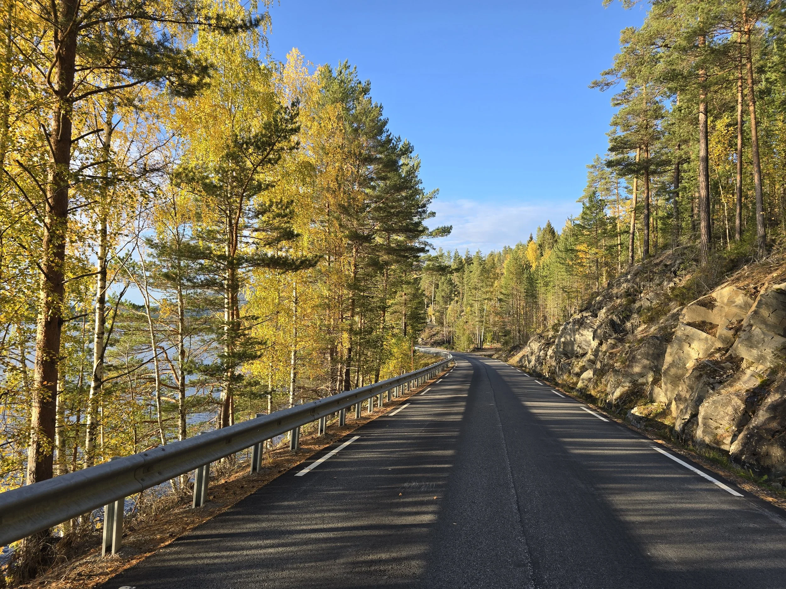 Langs Follsjøvegen_høst.jpg