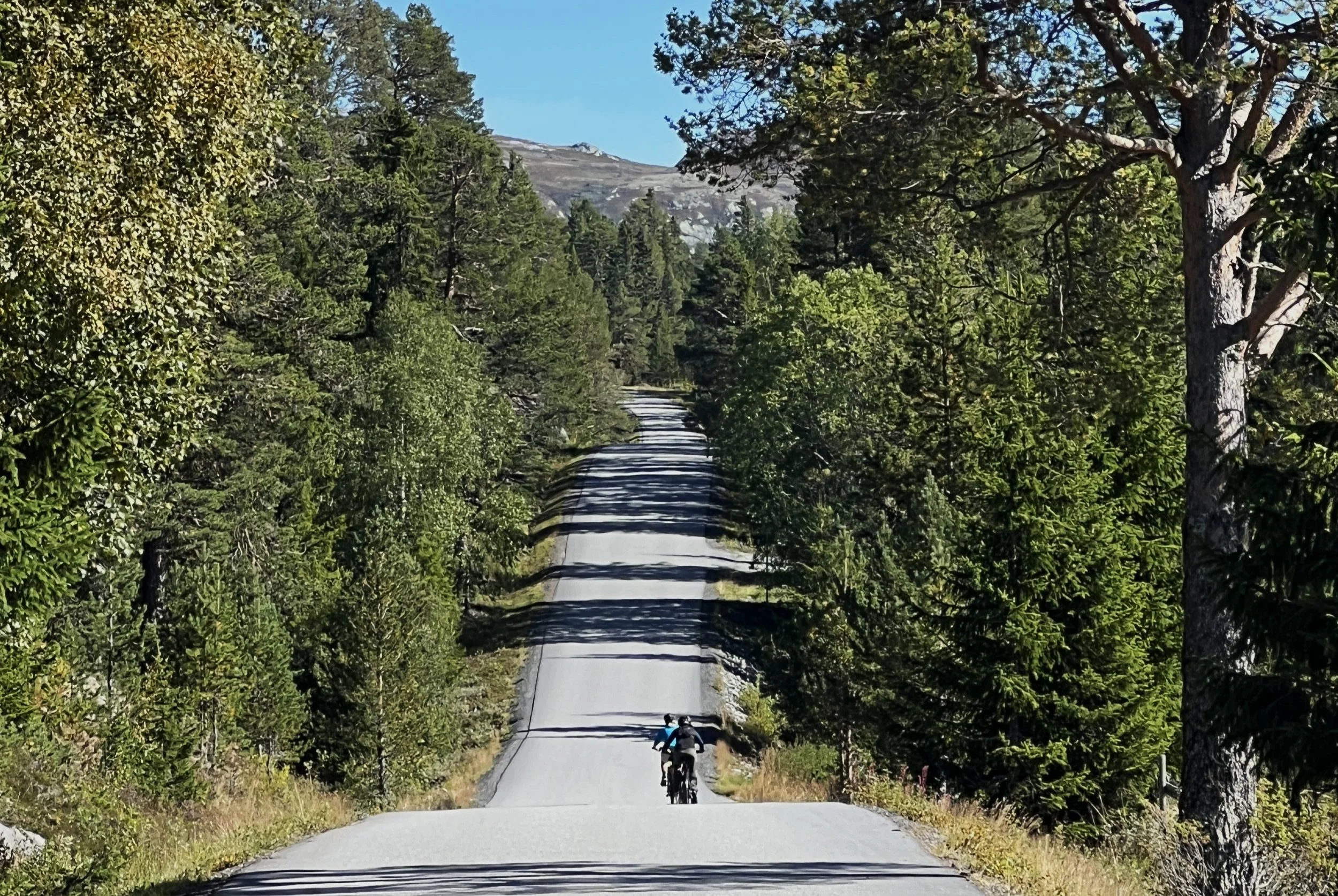 fjellruta_sykkel_skivredalen_vegglifjell.jpg (Copy)