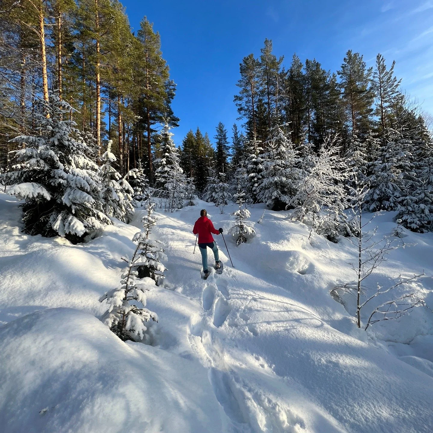 Finn frem trugene i helgen, flotte forhold n&aring;. Hvis du ikke har truger kan du kj&oslash;pe hos @friluftsbua.no eller @fjellkompaniet.no . God tur 😊