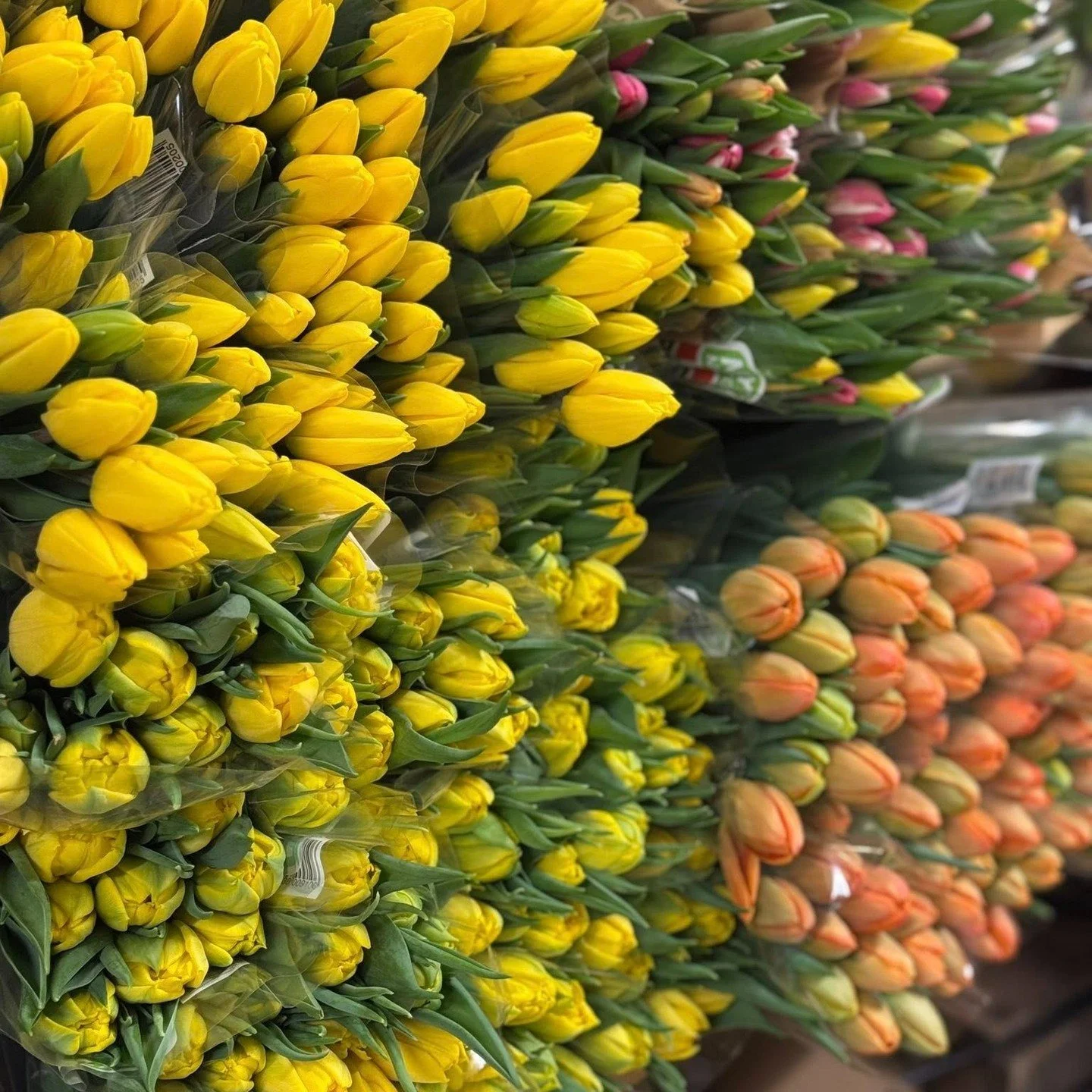 Pynt til p&aring;ske med flotte tulipaner og andre blomster fra #numedalblomster