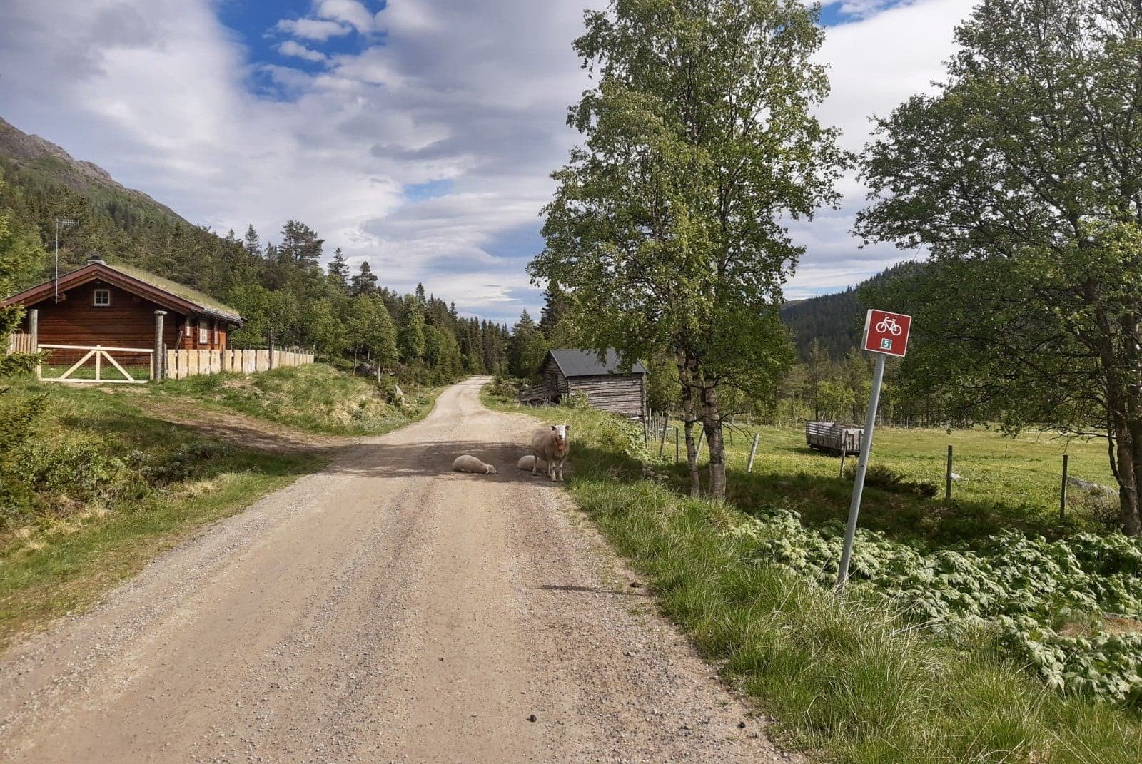 smaadolrunden_smådøl_svingom.jpg (Copy)