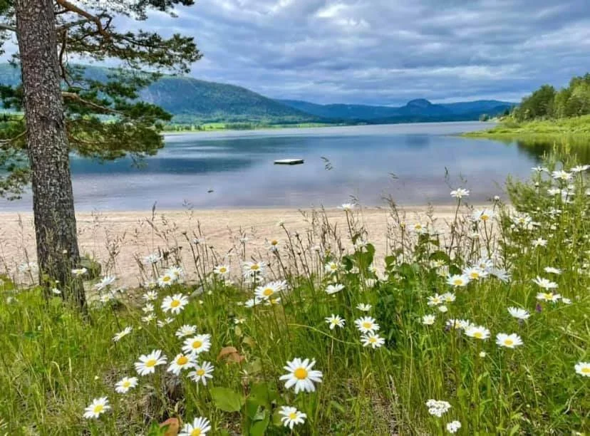 kunst-og-kobolt_sandstrand soneren_ukjent.jpg (Copy)