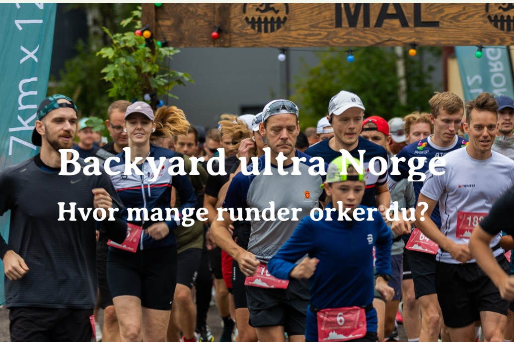 Backyard Lampeland 2026