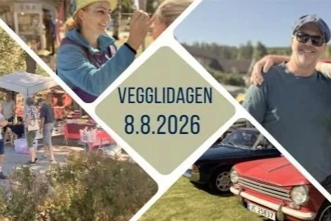 Vegglidagen med olabilløp og sommerfest med konsert