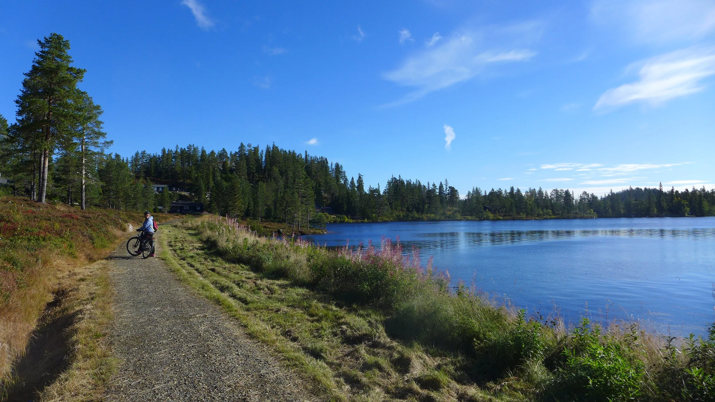 blefjell-juvefossen_blefjell på langs_svingom.jpg