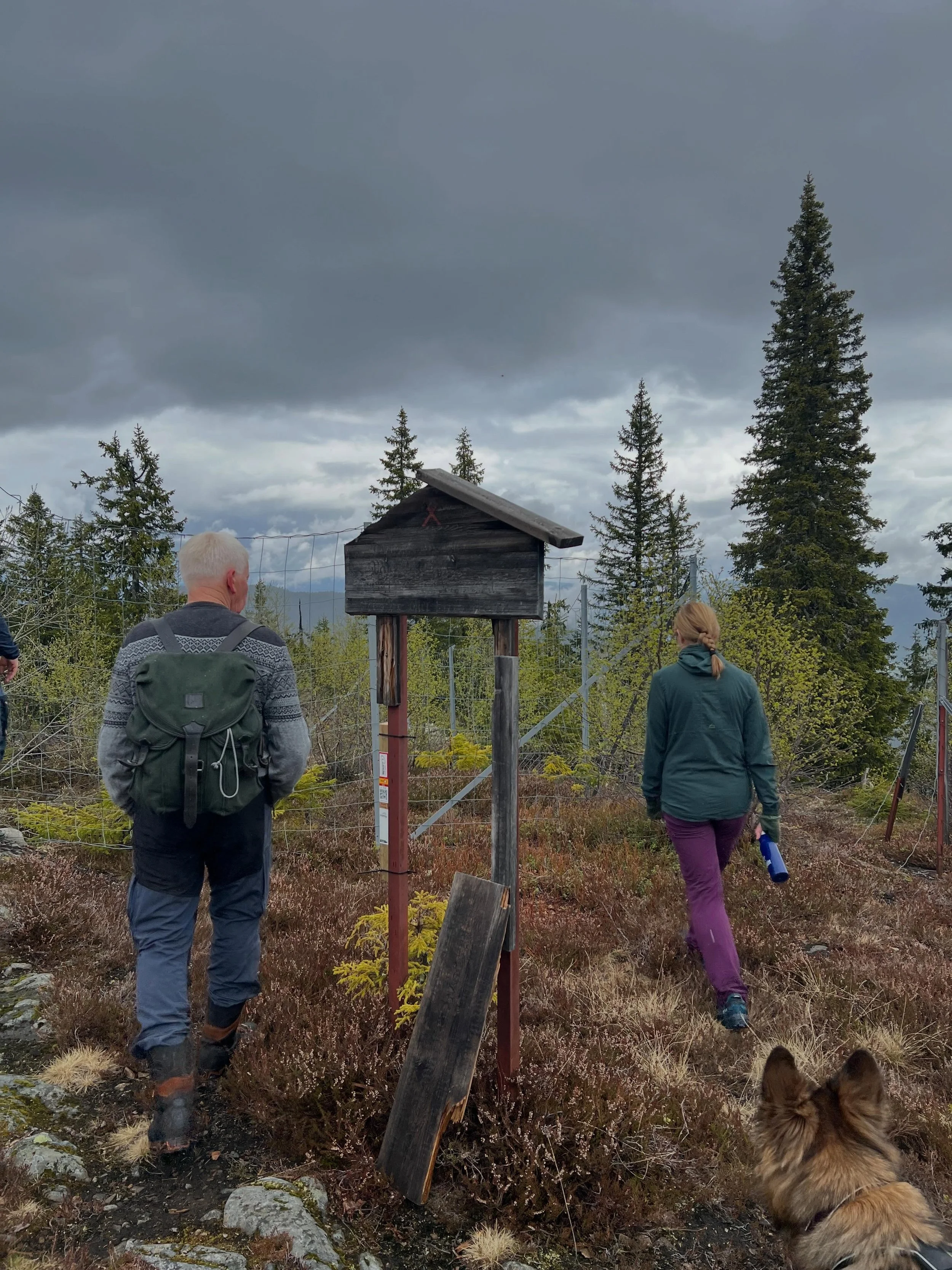 Spennende tur til den tapte gruvebyen p&aring; Vinoren i g&aring;r.  Tusen takk for en fantastisk opplevelse og l&aelig;rerik guiding av @oddvar Garaas , @friluftsbua.no og @lampelandhotell . Stolpejakten er p&aring; plass, god tur 🤗