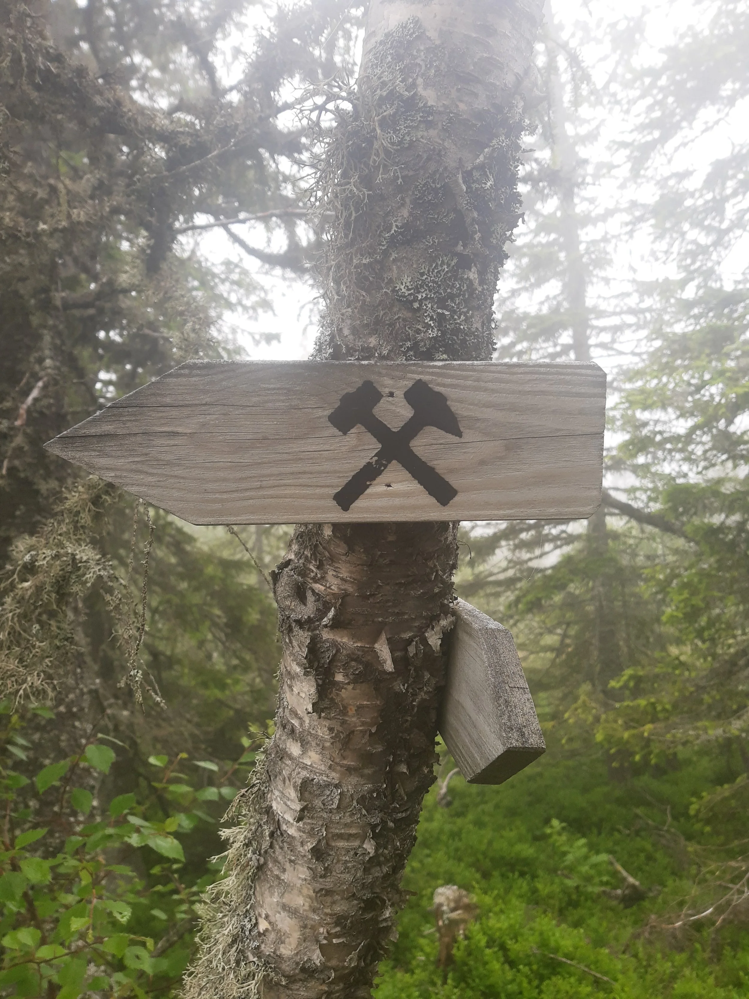 Dronningkolken tir 2021-2.JPEG