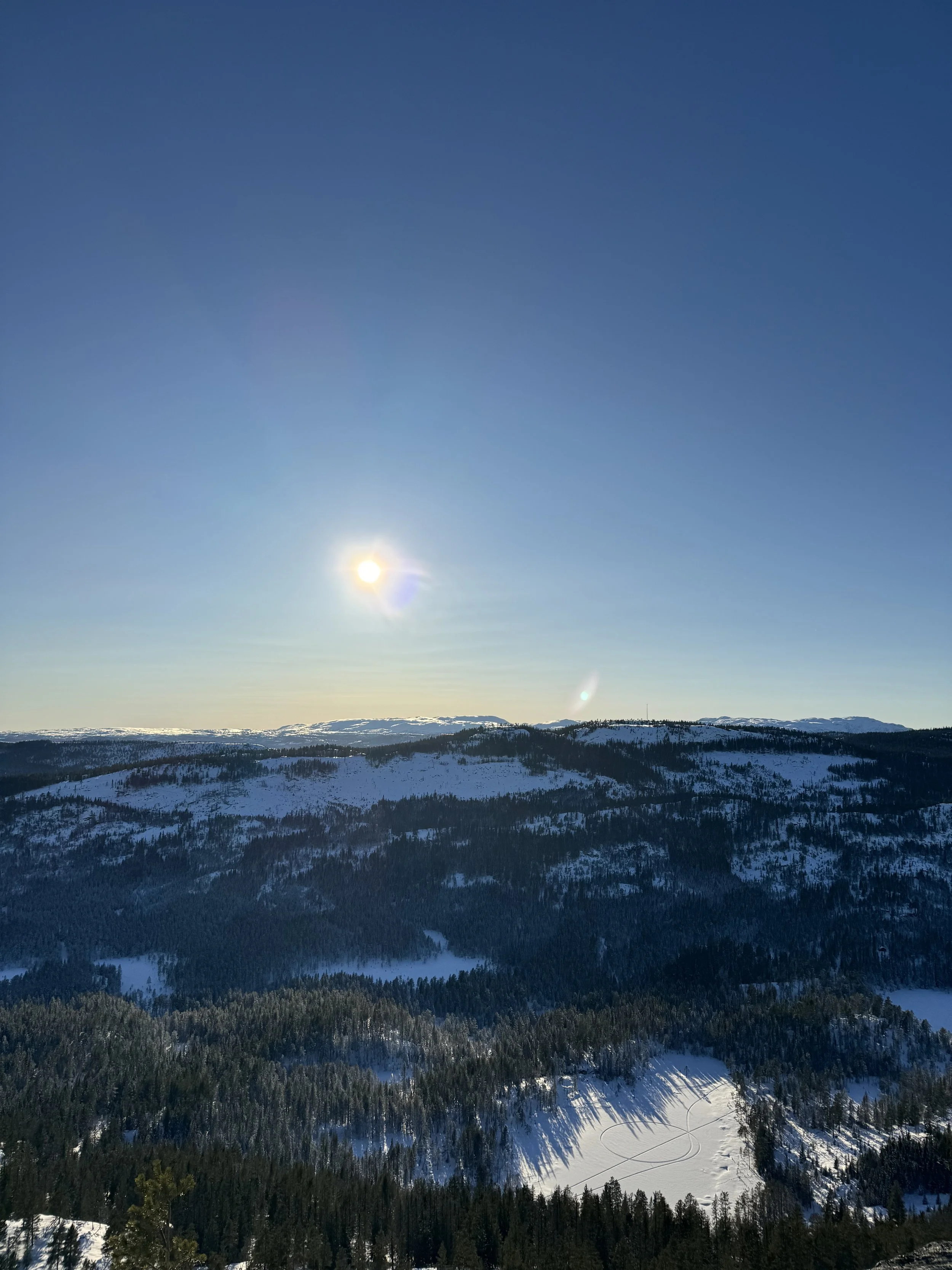 Tekslehogget truger vinter flesberg1_IMG_2329.jpeg