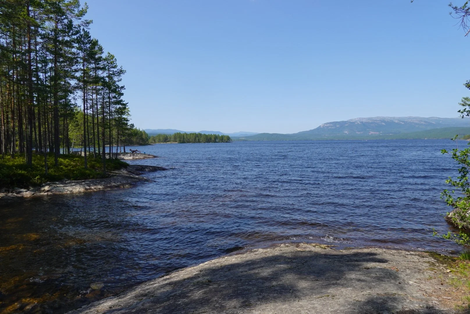 Flotte odder ved Follsjø.JPG